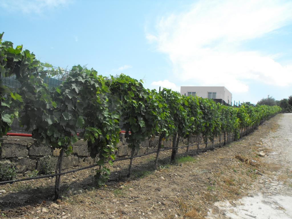 Agriturismoeloropizzuta Lido di Noto Exterior photo